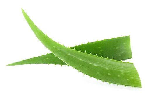 Fungent contains aloe vera